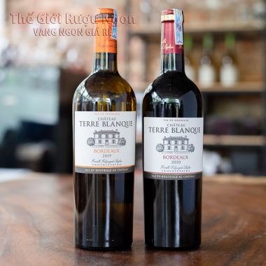 Combo 2 chai rượu vang Pháp Bordeaux giá siêu hot 550K