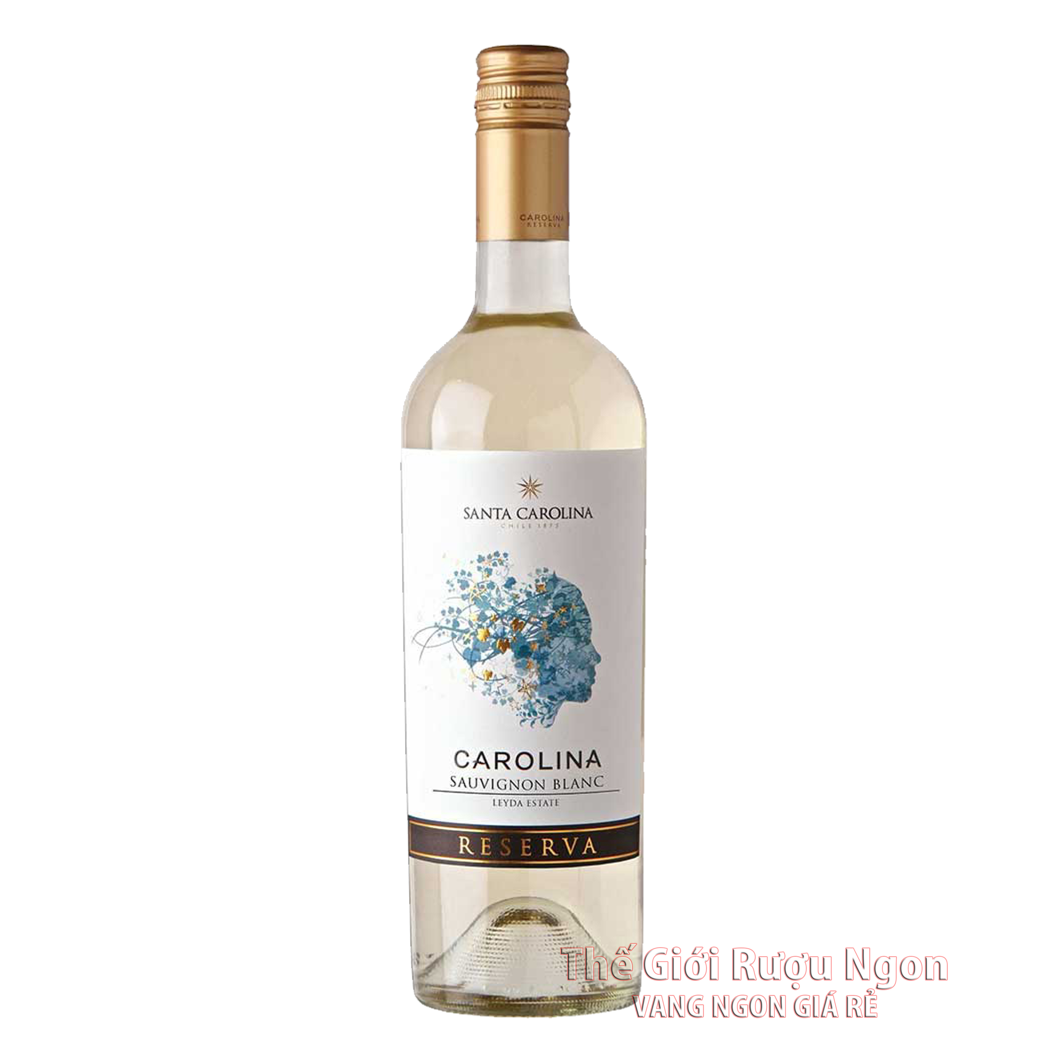 Rượu vang trắng Santa Carolina Reserva Sauvignon Blanc