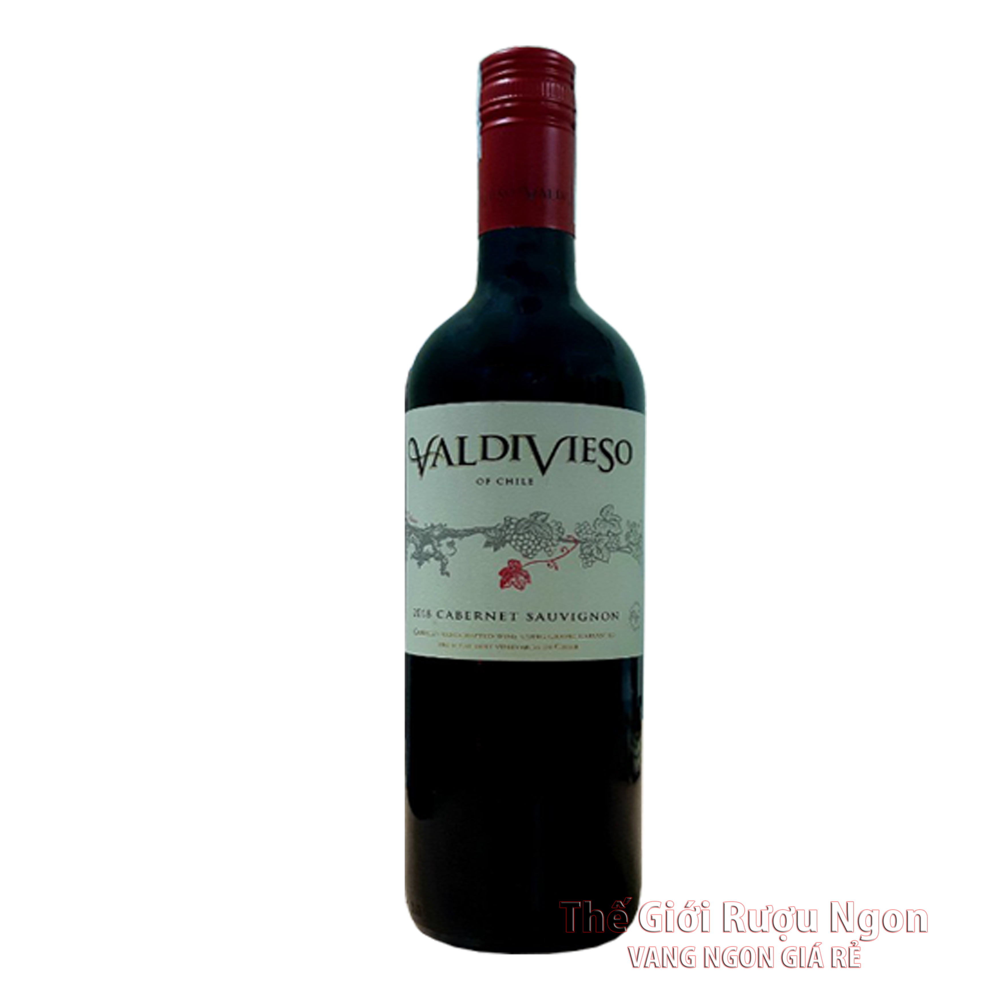 Rượu vang Chile VALDIVIESO Cabernet Sauvignon