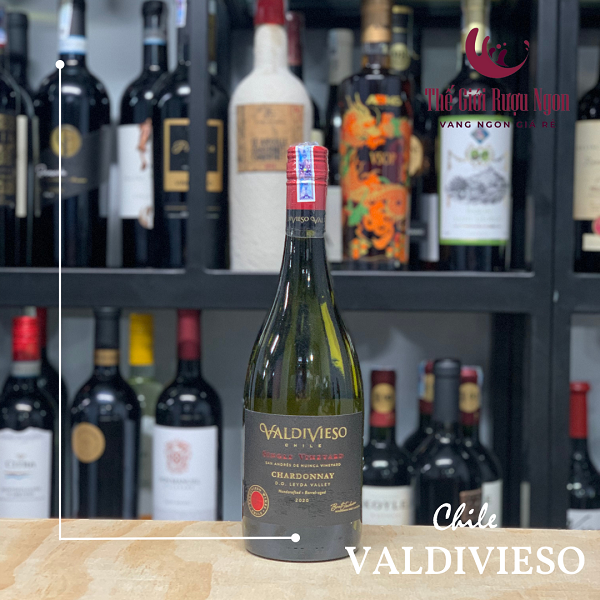 rượu vang trắng Chile Valdivieso Single Vineyard Chardonnay 01