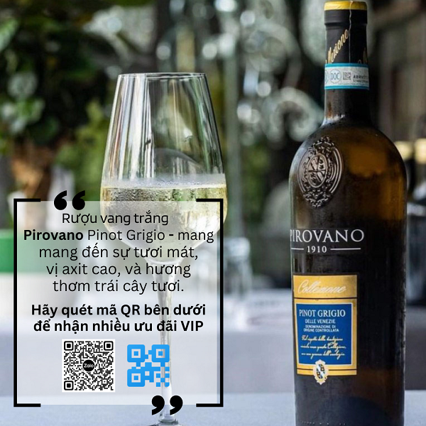 Rượu vang Ý Pirovano Pinot Grigio 01